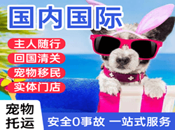 平潭机场快运国际宠物托运 【国